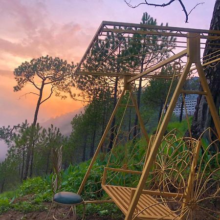 The Westberry 50Mtrs Offroading And 50 Mtrs Nature Path Bed & Breakfast Шимла Екстериор снимка
