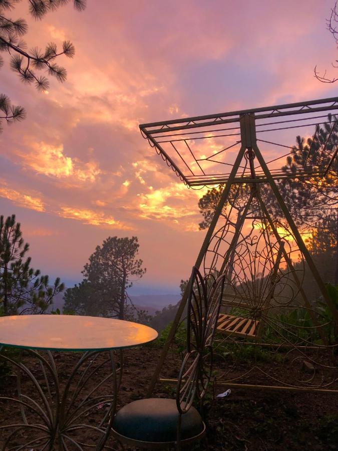 The Westberry 50Mtrs Offroading And 50 Mtrs Nature Path Bed & Breakfast Шимла Екстериор снимка